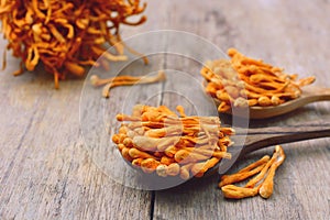 Dried cordyceps militaris mushroom