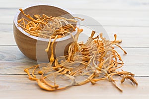 Dried cordyceps militaris on wooden background.