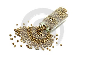 Dried coriander grains in a glass vial