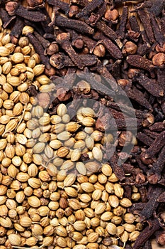 Dried coriander seeds and clove background, dried spicy herb for food aroma and natural medicine, ingredient in Indian