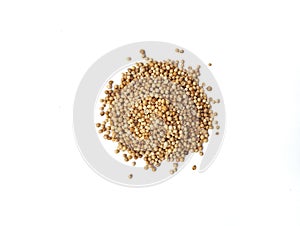 Dried coriander seeds isolated on white background