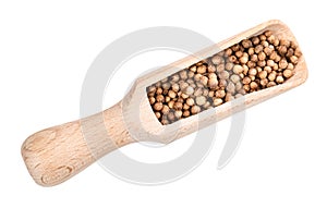 Dried coriander seeds in wood scoop cutout