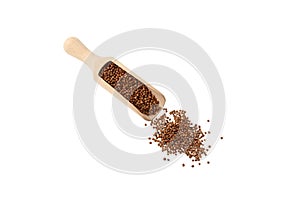 Dried coriander seeds in wooden scoop on white background, close-up. Top view, copy space