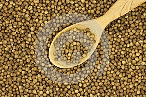 Dried Coriander seeds in a wooden spoon