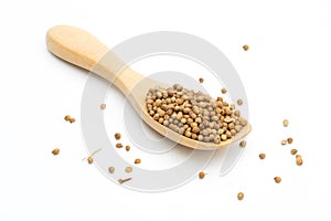 dried coriander seeds wooden spoon on white