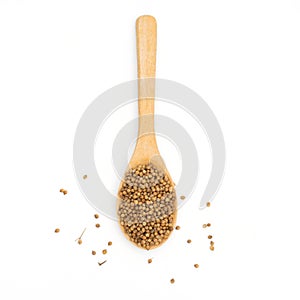 dried coriander seeds wooden spoon on white