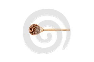 Dried coriander seeds in wooden spoon on white background