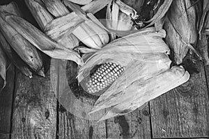 Dried corn