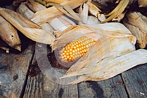 Dried corn