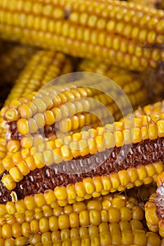 Dried corn cobs