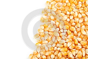 Dried corn grains