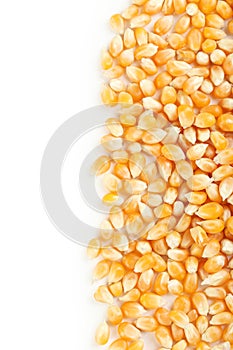 Dried corn grains