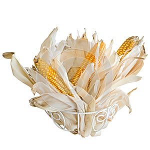 Dried corn white background