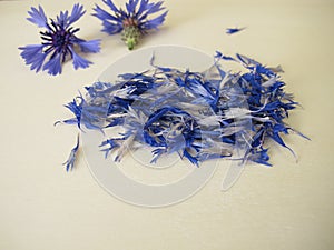 Dried cornflower flower petals photo