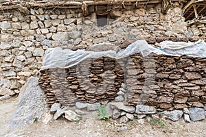 Dried cow dung used for fuel piled outside of a traditional village home