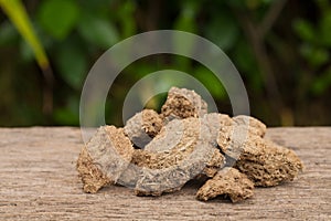 Dried cow dung on a wood floor Natural background