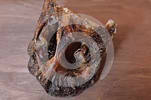 dried cow nose on a wooden board