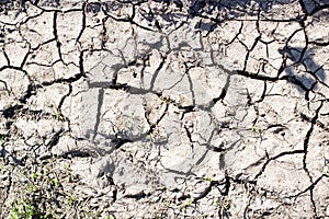 Dried cracked black Soil texture background