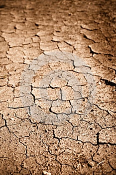 Dried Cracked Dirt or Mud
