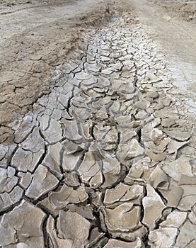 Dried Cracked Dirt Road. Dry Weather. Hot Summer Time.