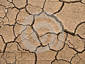 Dried and cracked earth