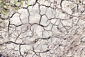 Dried cracked earth black soil ground texture background. Mosaic pattern of sunny dried earth soil. Blacsk ground surface