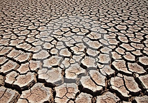 Dried, cracked earth forms an intricate pattern on the ground,
