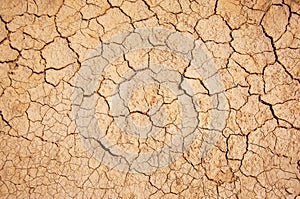 Dried and cracked earth ground background, arid desert texture global warming concept