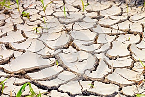 Dried and cracked earth pattern, drought concept