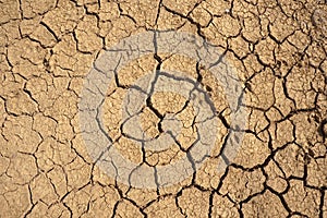 Dried cracked earth soil ground background.