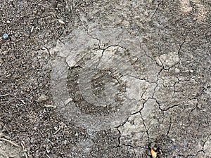 Dried cracked earth soil ground texture.