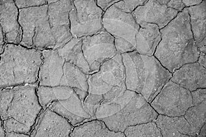 Dried cracked earth soil ground texture background.