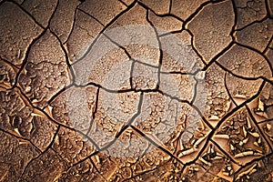 Dried cracked earth soil ground texture background.