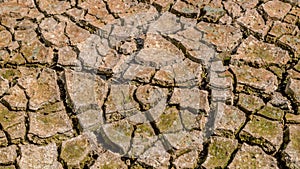 Dried cracked earth soil ground texture background.