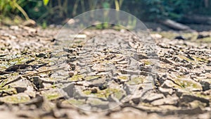 Dried cracked earth soil ground texture background.