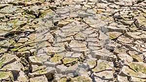 Dried cracked earth soil ground texture background.