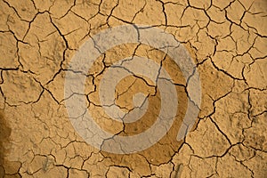 Dried cracked earth soil ground texture background.