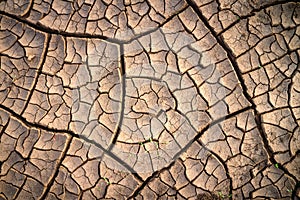 Dried cracked earth soil ground texture background. Mosaic pattern