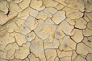 Dried cracked earth soil ground texture background. Mosaic pattern of sunny dried earth soil