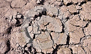 Dried cracked earth soil ground texture background, pattern of drought lack of water of nature old broken