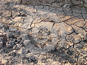 Dried cracked earth soil ground texture background. pattern of sunny dried earth soil