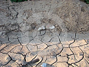 Dried cracked earth soil ground texture background. pattern of sunny dried earth soil