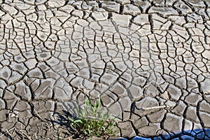 Dried , cracked earth soil after high tide