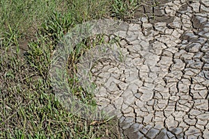 Dried , cracked earth soil after high tide