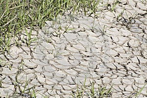 Dried , cracked earth soil after high tide