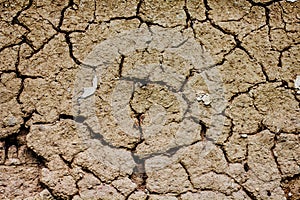 Dried and Cracked Earth