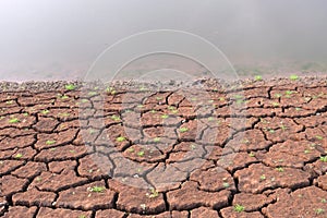 Dried and Cracked ground,arid soil