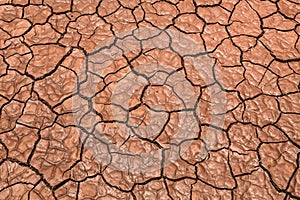 Dried cracked mud texture