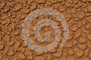 Dried cracked mud vector background