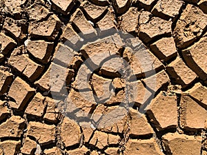 Dried and Cracked Muddy Ground, Background Texture